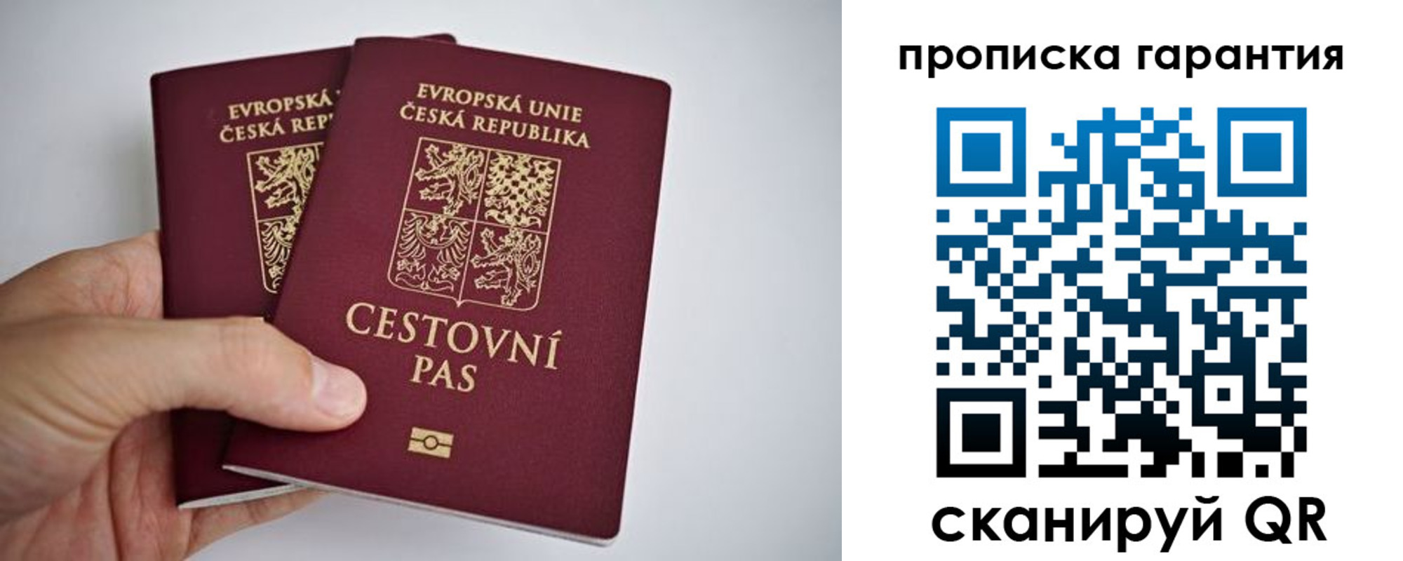 прописка в Сольцах